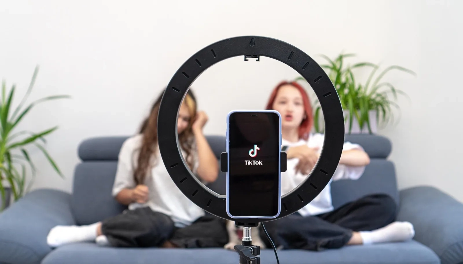 自媒体算法优化服务流程示意图